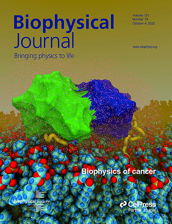 Biophysical Journal Cover